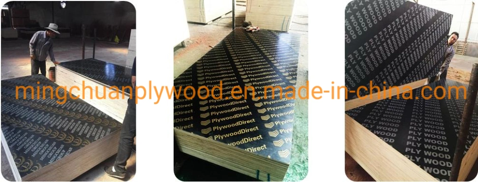 Building Materials 18mm Poplar Birch Core Formwork Construction Black Brown Film Faced Plywood