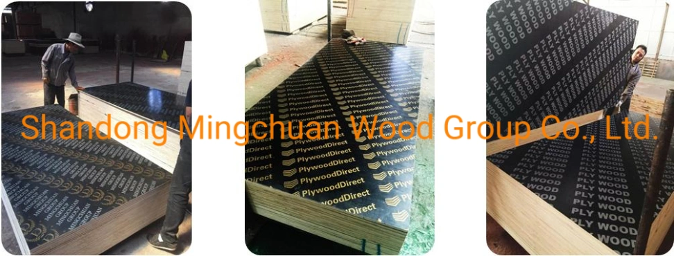 18mm Plastic PP Film Faced Plywood PVC Board Building Materials Combi Plywood