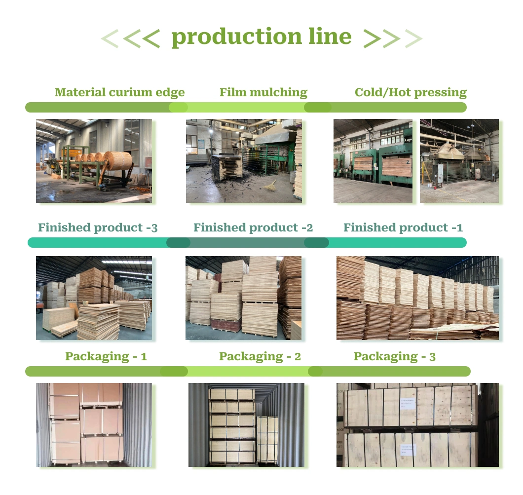 9/12/18mm Commercial Waterproof Construction Melamine Hardwood Film Faced Poplar Shuttering Furniture Plywood with Certifications