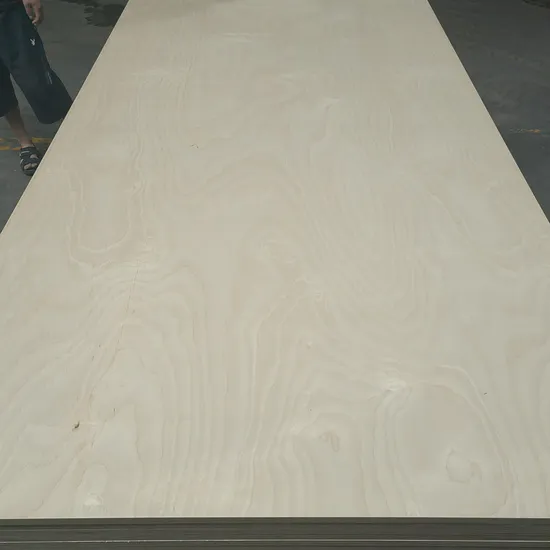 Pannelli in compensato di betulla russa, pannelli laminati impiallacciati in betulla naturale della fabbrica Linyi