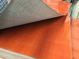 Compensato laminato ad alta pressione da 16 mm (HPL)